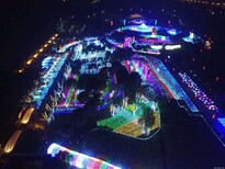 2018大型梦幻灯光展led造型灯制造工厂厂家图片0