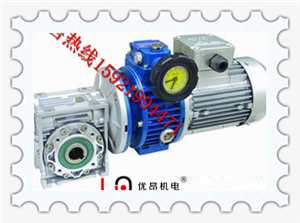 上海松江供应优质UDL005-RV050-0.75KW涡轮无极调速电机