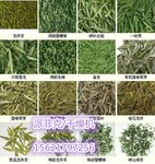 全自动茶叶烘干机/茶叶热泵烘干设备/冷风干燥机/厂家直销/控温脱水一体