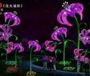 奇幻编制灯光节花灯不同场地出租城市亮化