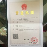 宁波志豪人力资源有限公司宁波志豪代理招聘宁波志豪人事代理图片5