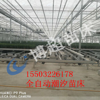 全自動(dòng)苗床全自動(dòng)潮汐苗床活動(dòng)移動(dòng)苗床