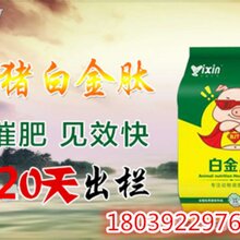 日长三斤百日出栏法育肥猪催肥猪催肥最简单方法猪催肥饲料添加剂图片