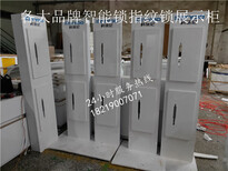 台州小区中国结指纹锁柜台定制图片0