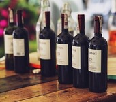 意大利进口红酒洋酒大量批发团购经销商代理商一手货原瓶进口