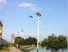河南郑州6米30W锂电太阳能路灯