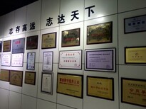 宁夏企业办理推广荣誉证书图片4