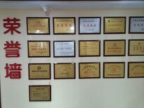 宁夏企业办理推广荣誉证书图片1