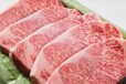 厂家直销澳洲牛羊肉美式肥牛牛仔骨各种肉卷火锅烧烤食材