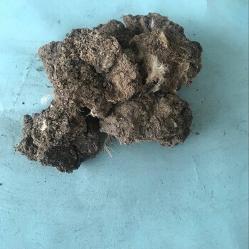 湖北生物有機肥廠家雞糞顆粒雞糞塊發(fā)酵雞糞純雞糞