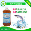台州草鱼青鱼养殖饲料可以用粪便发酵吗发酵剂哪个牌子好金华宁波舟山图片