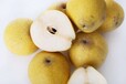 安徽特产砀山酥梨百年树龄新鲜水果6粒礼盒装