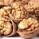  Xinjiang Kashi Grade I Walnut