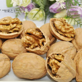 供應新疆特產(chǎn)阿克蘇185紙皮核桃散裝堅果年貨批發(fā)