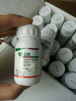 吊絲蟲藥_青蟲藥防治效果好美盛農(nóng)業(yè)蕓除