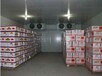 安徽滁州市苹果保鲜冷藏库厂家建设