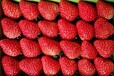 重庆渝北区草莓保鲜冷藏库厂家建设