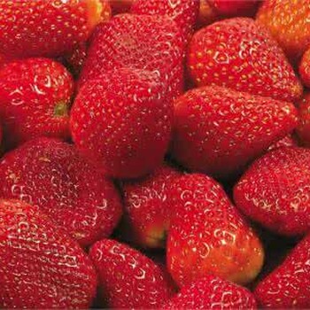 太原市草莓保鲜冷藏库厂家建设