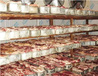 安徽巢湖市肉类保鲜冷藏库厂家建设