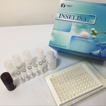 人乙型肝炎病毒表面抗体（HBsAb）定量检测试剂盒（ELISA）