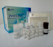 仓鼠低密度脂蛋白ELISA试剂盒_LDL检测试剂盒_低密度脂蛋白试剂盒