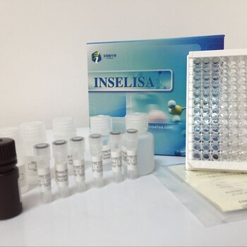 鸡传染性支气管炎病毒抗体（IBV）检测试剂盒（ELISA）