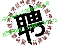 图片0