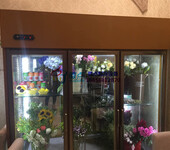 左右平推门鲜花柜，鲜花店风冷保鲜柜，梅州花束花材展示柜