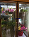 花藝店風冷保鮮柜，三開門鮮花柜1.8米，江門鮮花店展示柜