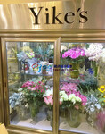 信阳不锈钢鲜花柜，鲜切花保鲜展示柜，徽点风冷1.2米价格