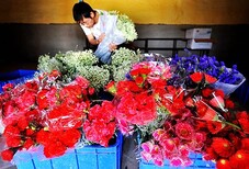 晋城市鲜花保鲜库厂家建设图片3