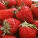 吕梁地区草莓保鲜库厂家建设