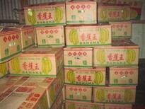 呼和浩特市香蕉保鲜库厂家建设图片1