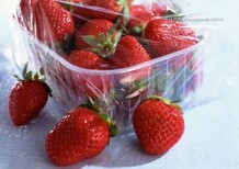乌兰察布草莓保鲜库厂家建设图片3