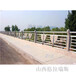 广西柳州大桥景观护栏高架桥防撞护栏河堤栏杆