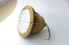 免维护LED防爆灯图片1