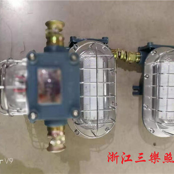 DGC18-127L（A）矿用隔爆型LED新型超轻支架灯