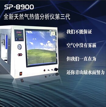 SP8900天然气全组分分析仪