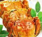 佳节之季，好蟹汇为您准备最优质的蟹礼！