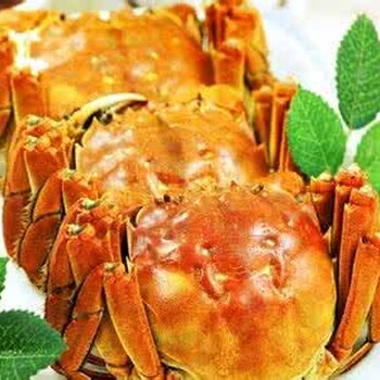佳節(jié)之季，好蟹匯為您準(zhǔn)備的蟹禮！