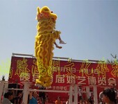 北京演出公司北京庆典舞狮表演北京舞龙舞狮表演