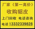 赤峰回收貂皮貂皮回收著名厂家赤峰市回收貂皮貂皮回收