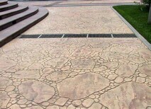 供应湖北武汉艺术装饰混凝土地坪做法彩色原石胶黏地坪厂家图片2