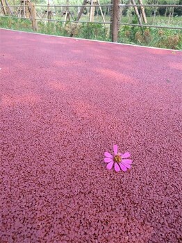 普洱彩色透水混凝土林园透水地坪墙固透水路面生态透水砼厂家批发