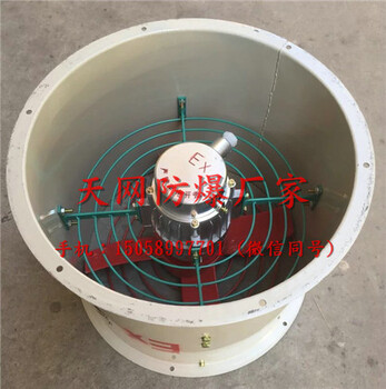 防爆轴流风机CBF-300\0.18kw220v厂家