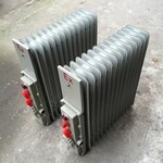 BYT-1.5kw/9片防爆电热油汀ExdIIBT4Gb不二之选