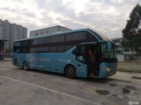 海门到重庆卧铺大巴车图片4