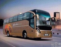 南浔到叶县的豪华大巴车欢迎致电图片3