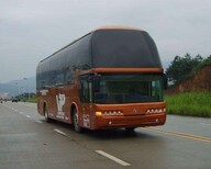 南浔到叶县的豪华大巴车欢迎致电图片4