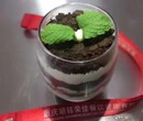 盆栽冰淇淋技术培训荣佳专业奶茶培训